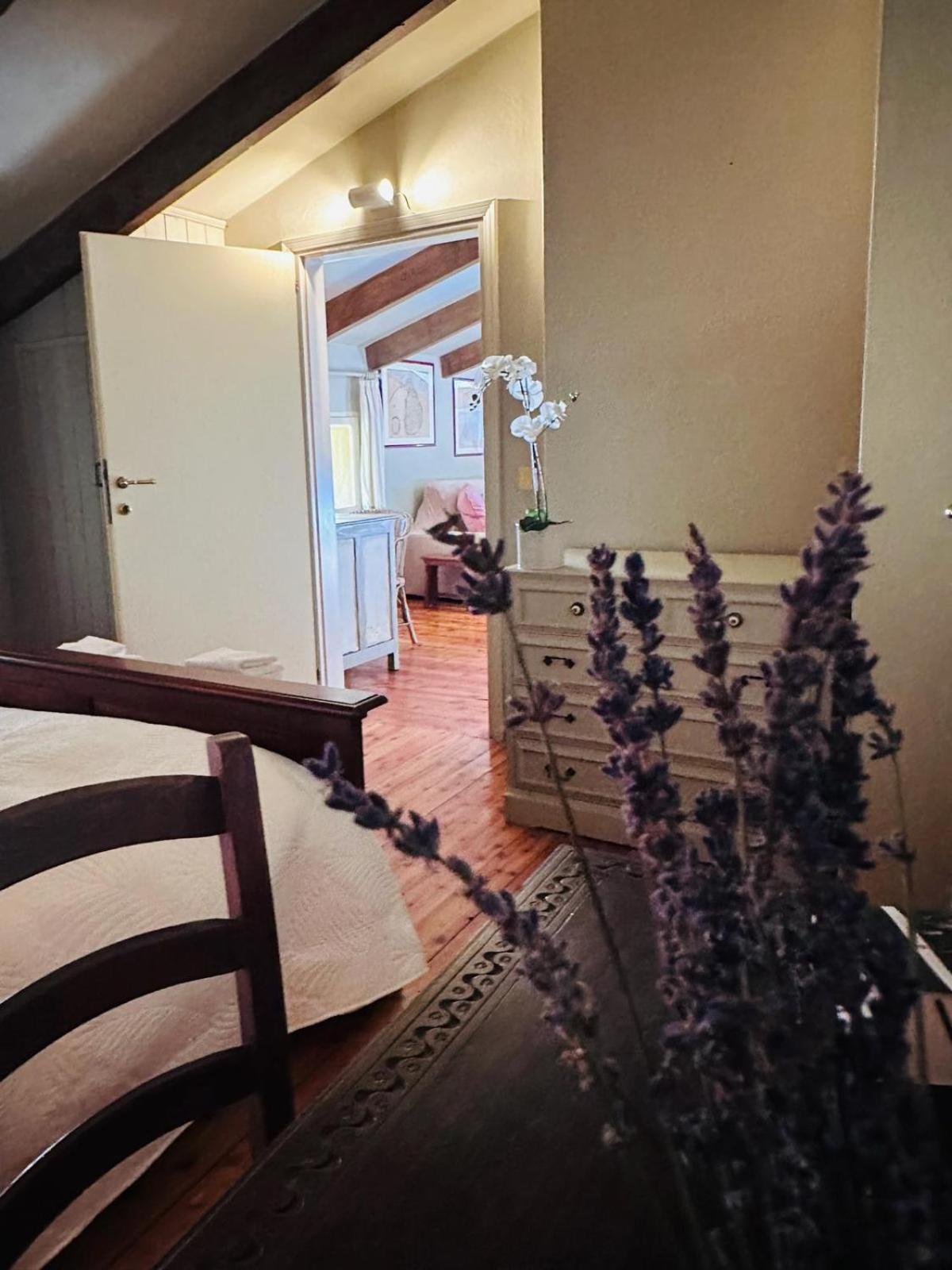 Garden Loft By Veneto Villa Villa Osti エクステリア 写真