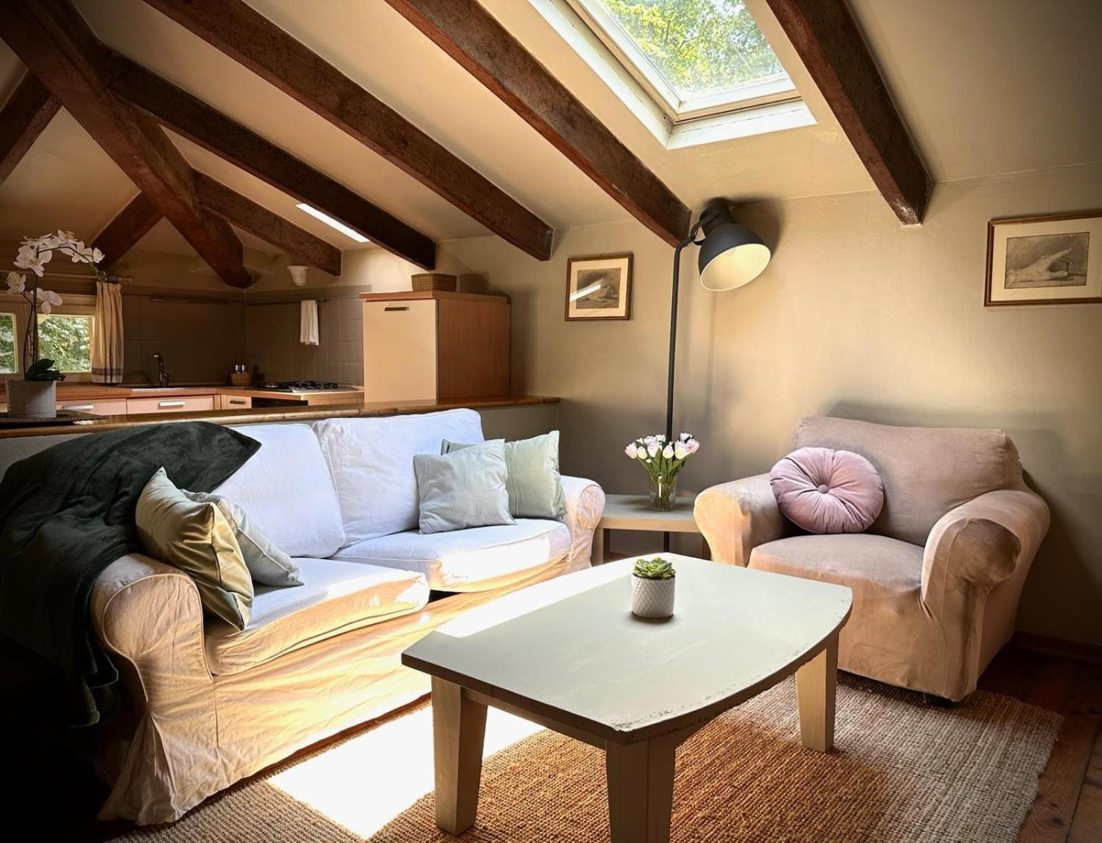 Garden Loft By Veneto Villa Villa Osti エクステリア 写真